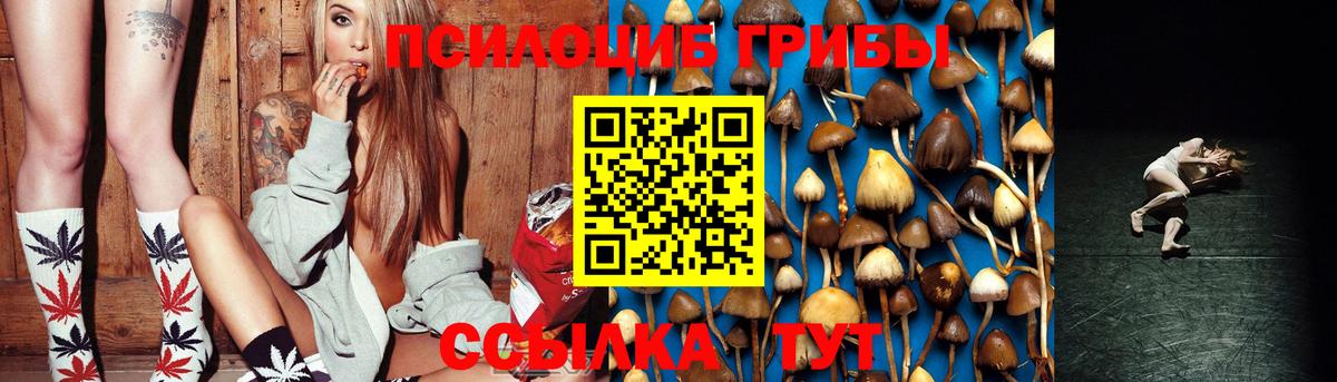 Псилоцибиновые грибы прущие грибы Липецк