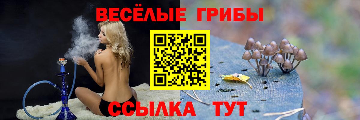 купить   Галлюциногенные грибы мухоморы  Вход с VPN  Псилоцибиновые грибы MAGIC MUSHROOMS  Липецк 